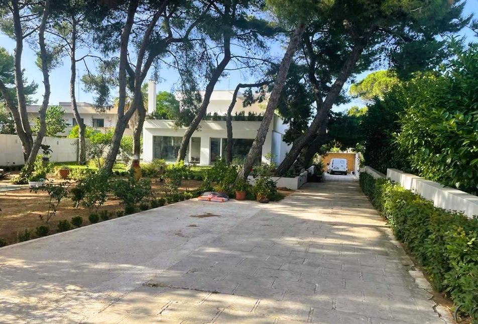 Casa Morgana Apartment Giovinazzo Ngoại thất bức ảnh